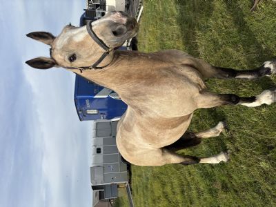 Customer Success Gallery - 